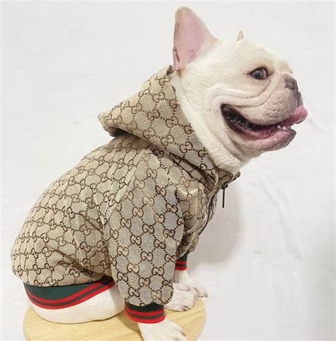 puppy gucci clothes|designer dog apparel for humans.